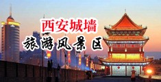 小骚穴被大鸡巴来回抽插的视频中国陕西-西安城墙旅游风景区
